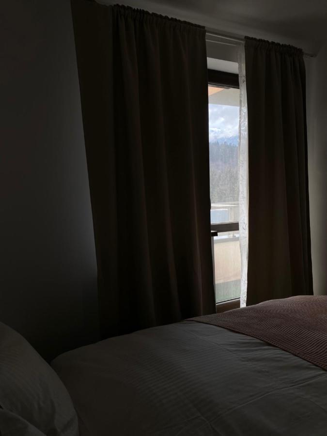 Ioana'S Apartament Apartment Sinaia Luaran gambar